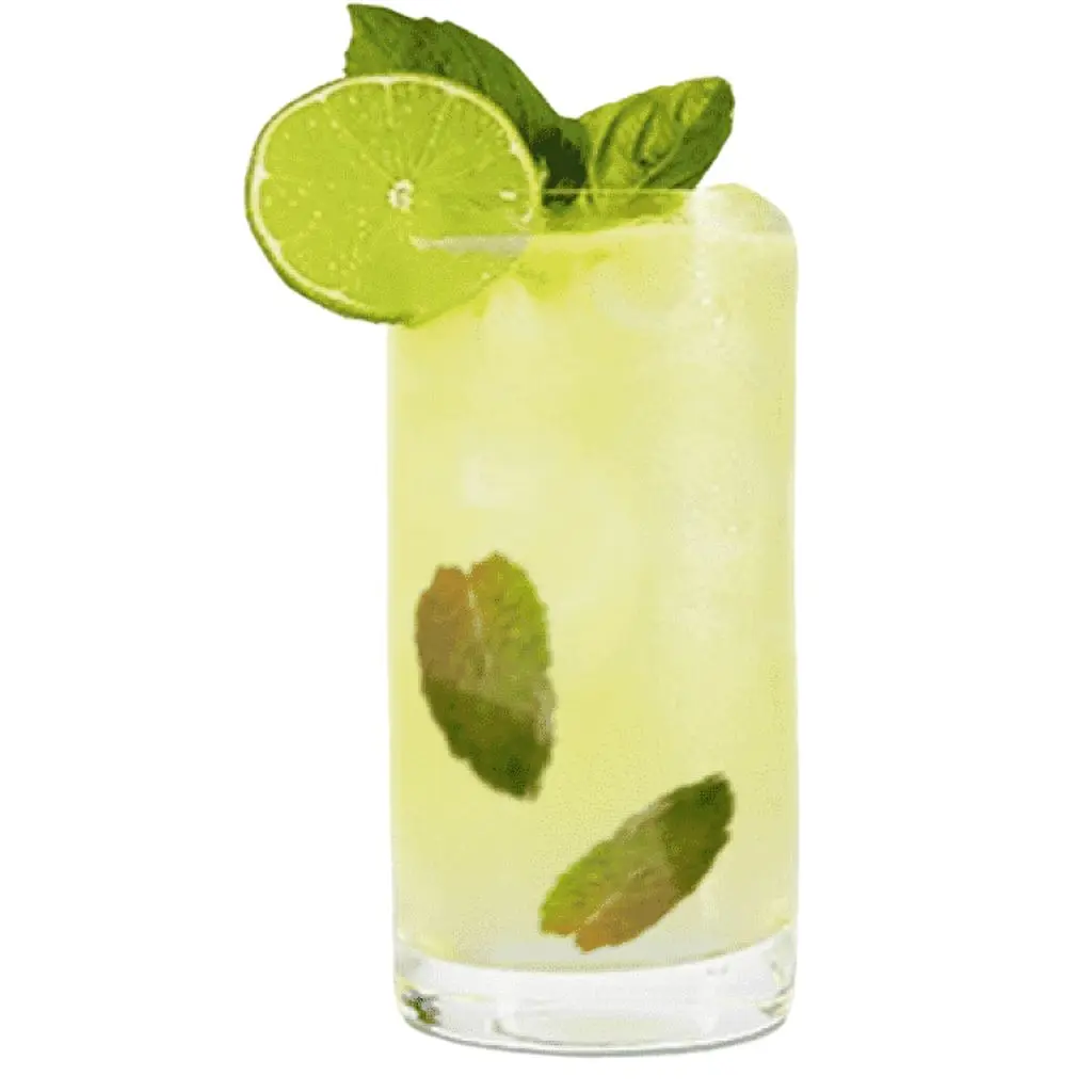 Lemon Mojito